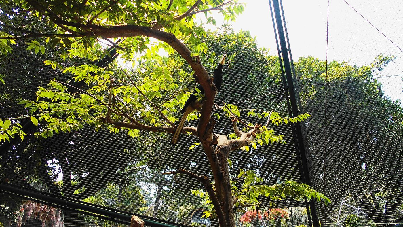 East Jakarta with Kids: A Family Guide